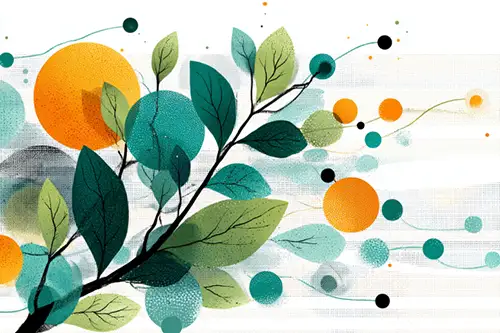 Analytics & Tracking Setup