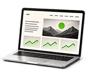 420+ websites built