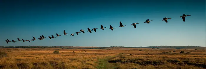 a winning marketing strategy