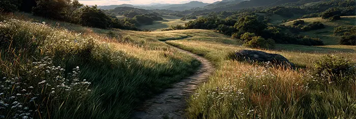 reporting and conversion paths